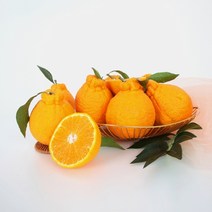 초록자연 제주 한라봉 3kg(6-7과) 가정용 고당도제주 한라봉 할라봉 레드향 황금향 감귤 제주귤 제주도귤 서귀포귤 천혜향 한라봉 카라향 신비향 천해향 천리향, 본상품
