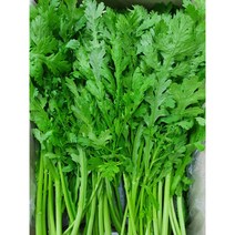 야채왕 싱싱한 쑥갓 4kg (박스)