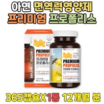 아연 건강기능식품 고함량 플라보노이드 면역력영양제 목이칼칼할때 맞춤영양제 프리미엄프로폴리스 ZINC 아연하루권장량 프로플러스 프로폴리스 PROPOLIS 아빠 아기엄마 면역력영양제
