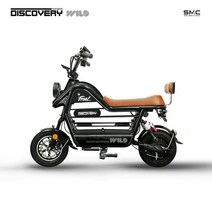 레이윙 디스커버리 와일드 전기 전동스쿠터 블랙 화이트 S20 48V12Ah, 28AH