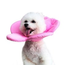 예보들 벚꽃넥카라 강아지 고양이 목보호대 깔대기 애완동물 반려동물, 상세설명 참조