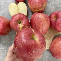 달티어 안동사과 홍로사과 부사 가정용 5kg, (정품) 홍로 꼬마과 14-16과 2kg