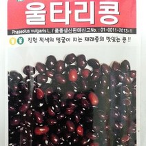 [가람종묘사] 울타리콩 씨앗(진한 적색의 덩굴이 지는 재래종콩 품종)