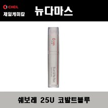 쉐보레 뉴다마스 25U 코발트블루 붓펜 자동차 도색 차량용 카페인트