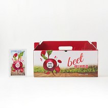 레드비트 100% 산지직송 국내산 레드비트즙 30팩, 100ml