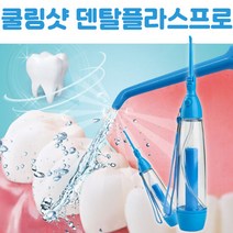 덴탈플라스프로 워터치실 물치실 칫솔 1세트, 옵션:워터치실 덴탈플라스 프로1세트