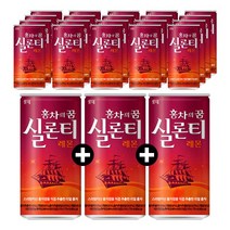 롯데칠성음료 실론티, 70개, 175ml