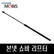 K5 구형 본넷쇼바 후드리프터 811612T000
