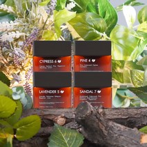 코너 CONER 향기카트리지 4SET 공간향기솔루션 전자 스마트 디퓨저 방향제, 페퍼민트4 4개SET