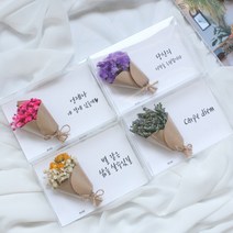 드라이플라워 카드 모음전(+문구)/가로형 엽서/생일 감사 기념일편지 메시지, 문구추가 20자이내, 28. 시네신스(분홍)