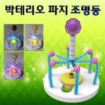 박테리오 파지 조명등 만들기 (1인용, 단품