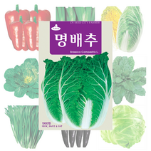 배추 고추 파프리카 씨앗 25종, 적갓 4000립