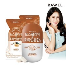 로엘 타블랩 보스웰리아 초록홍합 정 2박스(120정) / 4개월분, 기타, 로엘 보스웰리아초록홍합정 2박스