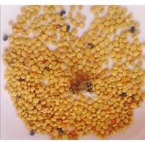 벌화분 꽃가루화분 1kg
