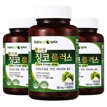 타이거아울렛 징코 플러스 60정 x 3병 6개월분 은행잎 추출물 빌로바 아연 비타민B6 뇌 기억력 혈행개선 도움 혈액순환 개선제 수험생 청소년 영양제, 단품, 단품
