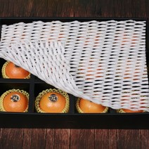 과일포장 패드 사과 배 수확 선물용 택배박스 완충재 망 충격방지