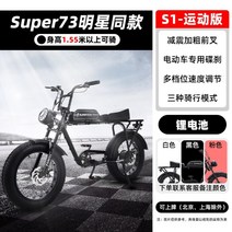전기스쿠터 삼륜바이크 간편한운동 배달용 전동자전거, 15AH, 48V