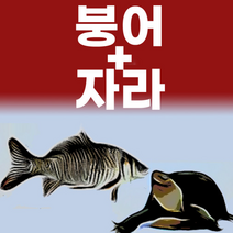 [동성탕제원] 직접 제조 합니다 붕어+자라엑기스(진액) 110ml 60포 체질맞춤 1개월 2개월, 체질맞춤 1달분