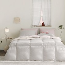 [파르페by알레르망] NEW 메이비 알러지케어 시베리아 구스 차렵이불세트 (연그레이) SSS