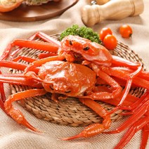 [KG Fresh] 산지직송 구룡포 박달홍게 자숙 생물 연지홍게 대게, 04.박달홍게 대 5마리, 리뷰이벤트 미참여 X