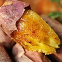 산지직송 해남 꿀 맛있는 베니하루카 황토 꿀 고구마 한입 중 대 특상, 01. 꿀고구마 한입3kg, 1개