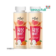 설빙 자몽에이드 과즙음료 250ml 12개 1박스, 상세페이지 참조, 상세페이지 참조