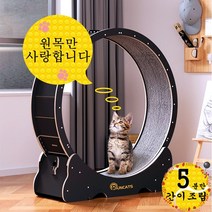 런캣 무소음 간단 설치 원목 캣휠 고양이캣휠, XL(113*36*120), 간이 설치, 무광블랙, XL(113*36*120)
