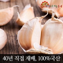의성 햇밭마늘 중2접5kg 국내산100% 2023년산 50년 전통 의성고추마늘동네, 1개