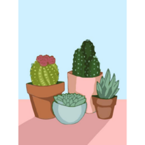 모모픽스페인팅 diy 명화 그리기 30x40cm 보테니컬 선인장 화분 취미생활 방 꾸미기