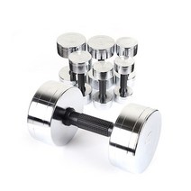 프로모릭스 고밀도 크롬 도금 아령 덤벨 3kg 4kg 5kg 6kg 8kg 10kg 12kg 15kg 홈짐 홈트, 크롬도금 3kg(회전형)