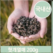 푸들 건조 헛개나무 열매 200g 지구자 말린 약재 영양 한방 (7564019), 기본