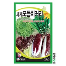 세계모듬치커리 3g / 상추씨앗 쌈채소씨앗 치커리씨앗 치커리씨