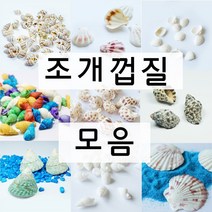 조개껍질 소라껍질 모음 젤캔들 만들기 재료, 8. 삼각뿔 고동