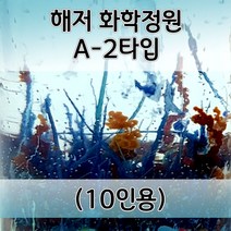 해저 화학정원만들기 A-2타입(10인) aco-195 해저정원키트 오피스안