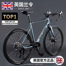 사이클 싸이클 알루미늄 로드자전거 바이크 초경량 로드 가벼운 스피드 여성, (24단모델) 오로라 그레이/직선 핸들바