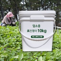 명이나물10kg 업소용 명이나물장아찌 대용량반찬, 10kg 업소용 1통