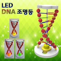 도매플레이스 DNA 과학상자 초등학교실험 초등과학교구 조립키트 LED 과학키드 조명등 W4A2221 유아과학교구 이중나선구조 초등과학키트 기술 공학완구