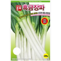 아시아종묘 대파씨앗 흑금장파 (80g)