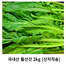 국내산 돌산갓 2kg 5kg 10kg 20kg 산지직송 생갓 절임갓 생돌산갓 갓김치 갓 돌산갓 김치 피클용 무침용 나물용 싱싱한 신선한 아삭아삭