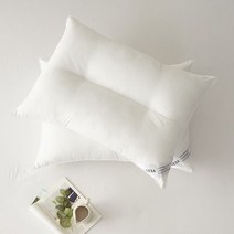 SESA N뉴컴퍼터블 경추베개솜 40X60
