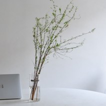 설유화 생화 인테리어 꽃 소품
