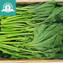 초록마트 아욱 업소용 식당용 쌈채소, 5개, 4kg