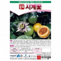 패션푸르트 패션프루츠(passion fruit) 시계꽃(10립)