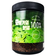 헬로우 그린 모링가 잎 파우더 분말 가루 180g, 1개 180g
