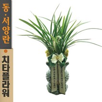 치타플라워 동양란 황룡관 [CD06-010] 승진 개업 축하 난 동양난 영전 취임 생일 선물 화분 고급 란 전국 당일 배송 꽃배달