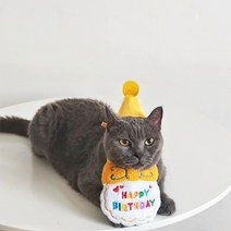 화예원 반려동물 강아지 생일 모자 파티 고양이 생일상 애견 돌잔치 고깔 모자 스카프 화예원 세트, 엘로우