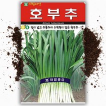 호부추 씨앗(2000립) 왕부추 잎이 넓고 두툼