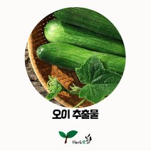 허브애향 오이추출물 천연재료 50ml 기타재료
