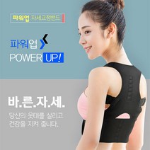 대진무역 바른자세교정밴드 굽은등 척추견인벨트 복대 어깨교정 바른체형 교정밴드, 자세교정밴드L/XL