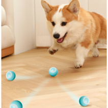 데굴데굴스마트볼 셀프 무빙 반려묘반려견 장난감 강아지 동물 놀이 저소음 실내 공놀이, 점핑볼-꿀꿀이